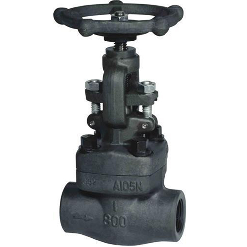 Forge steel valve