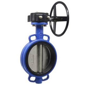 Concentric butterfly valve(图1)