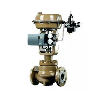 Cage control valve(图1)