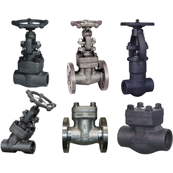 Forge steel valve(图1)