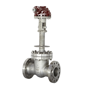 Cryogenic gate valve(图1)