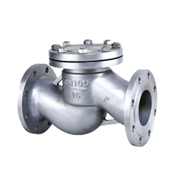 Lift check valve(图1)