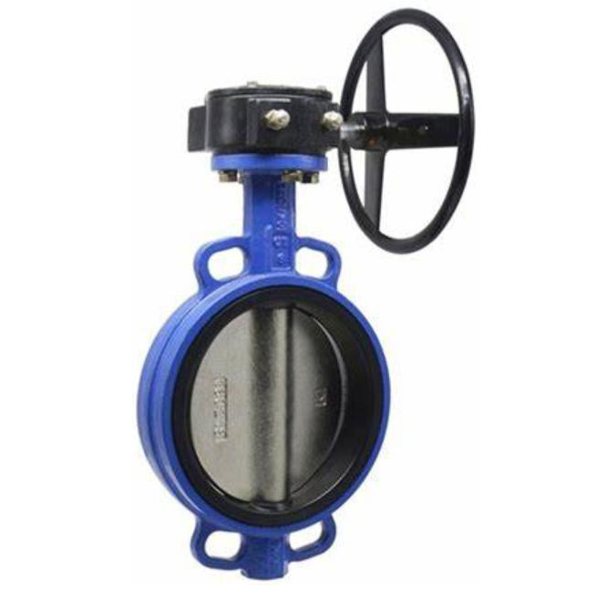 Concentric butterfly valve