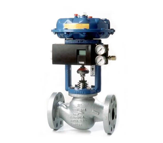 Single seat control valve