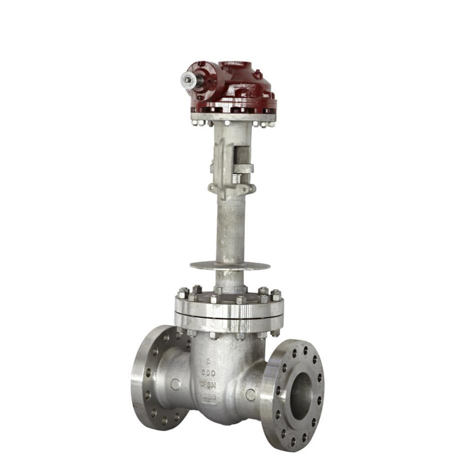 Cryogenic gate valve