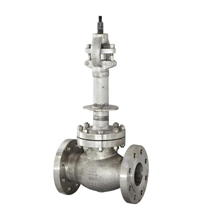 Cryogenic globe valve